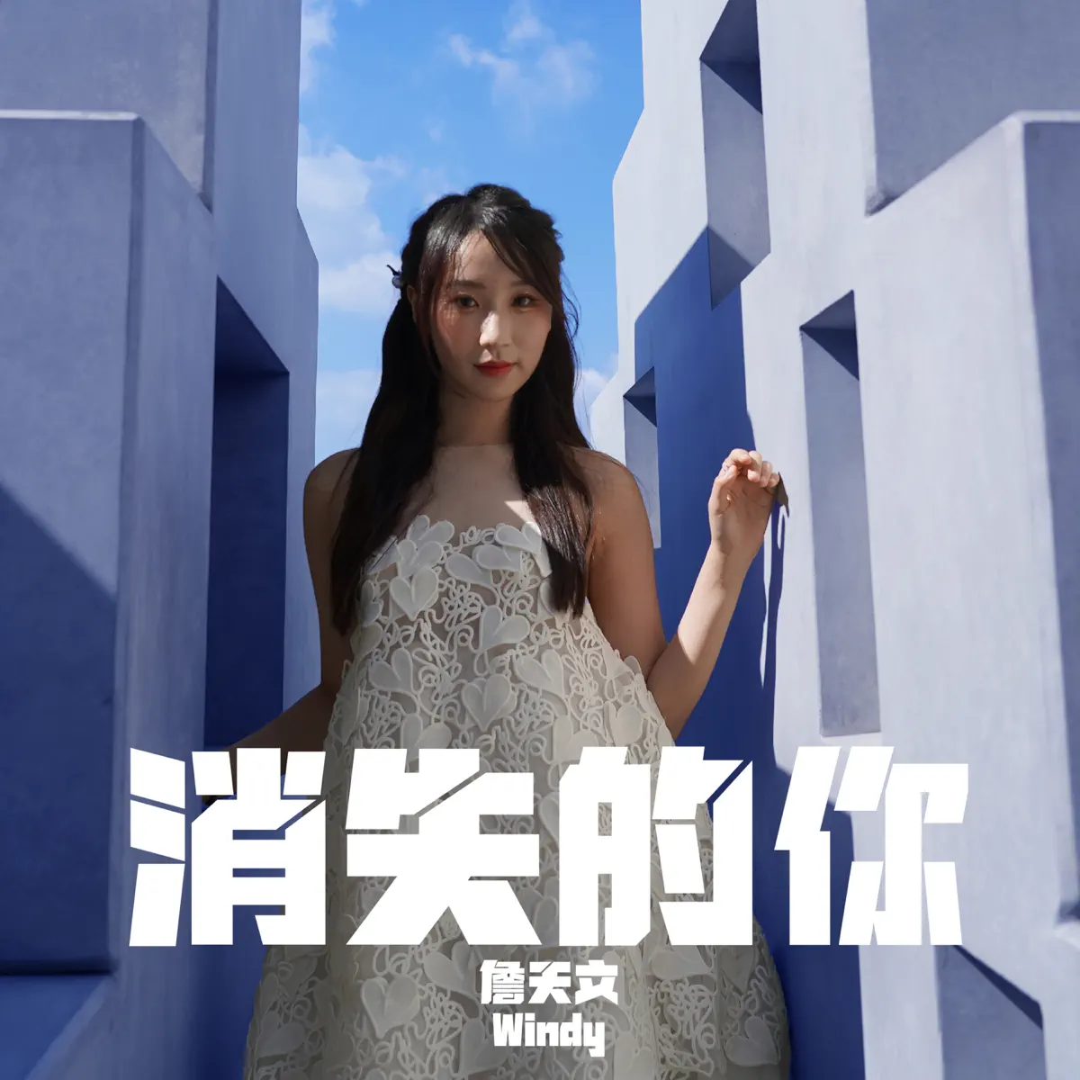 Windy 詹天文 - 消失的你 (劇集《異空感應》片尾曲) - Single (2024) [iTunes Plus AAC M4A]-新房子