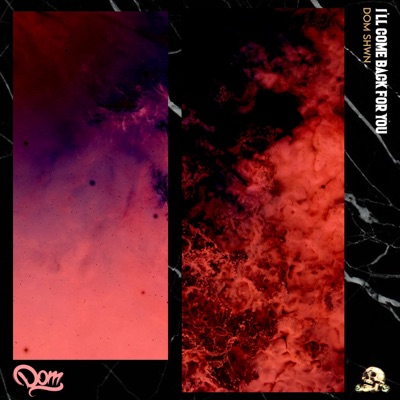 I'll Come Back For You - Single