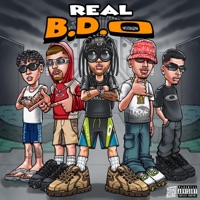 REAL BDO (feat. DJ FRACARI, Cunha, DJ ZATELLI & Dj Lucas Henrique) - Single - TAIDigital