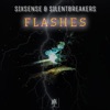 Flashes (feat. SilentBreakers) - Single