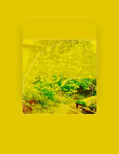 TakuyaAsanoを聴いたり、ミュージックビデオを鑑賞したり、経歴やツアー日程などを確認したりしましょう！