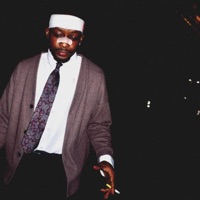 Pareidolia - Single - 2hi