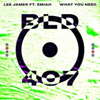What You Need - Single - Lee James & EMIAH
