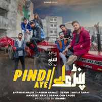 Pindi Aye - Single - Pindi Boyz & Ghauri