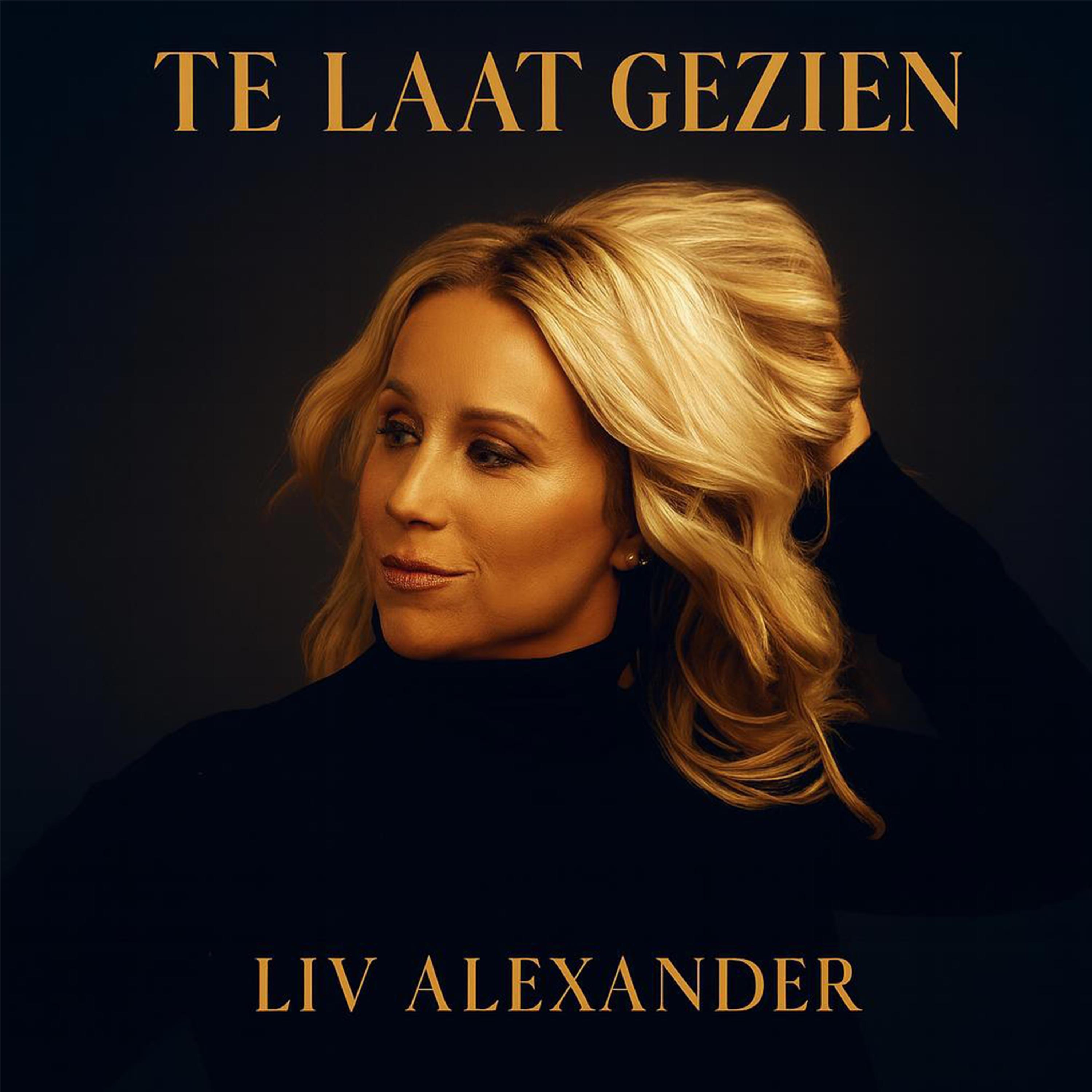 Te Laat Gezien - Single