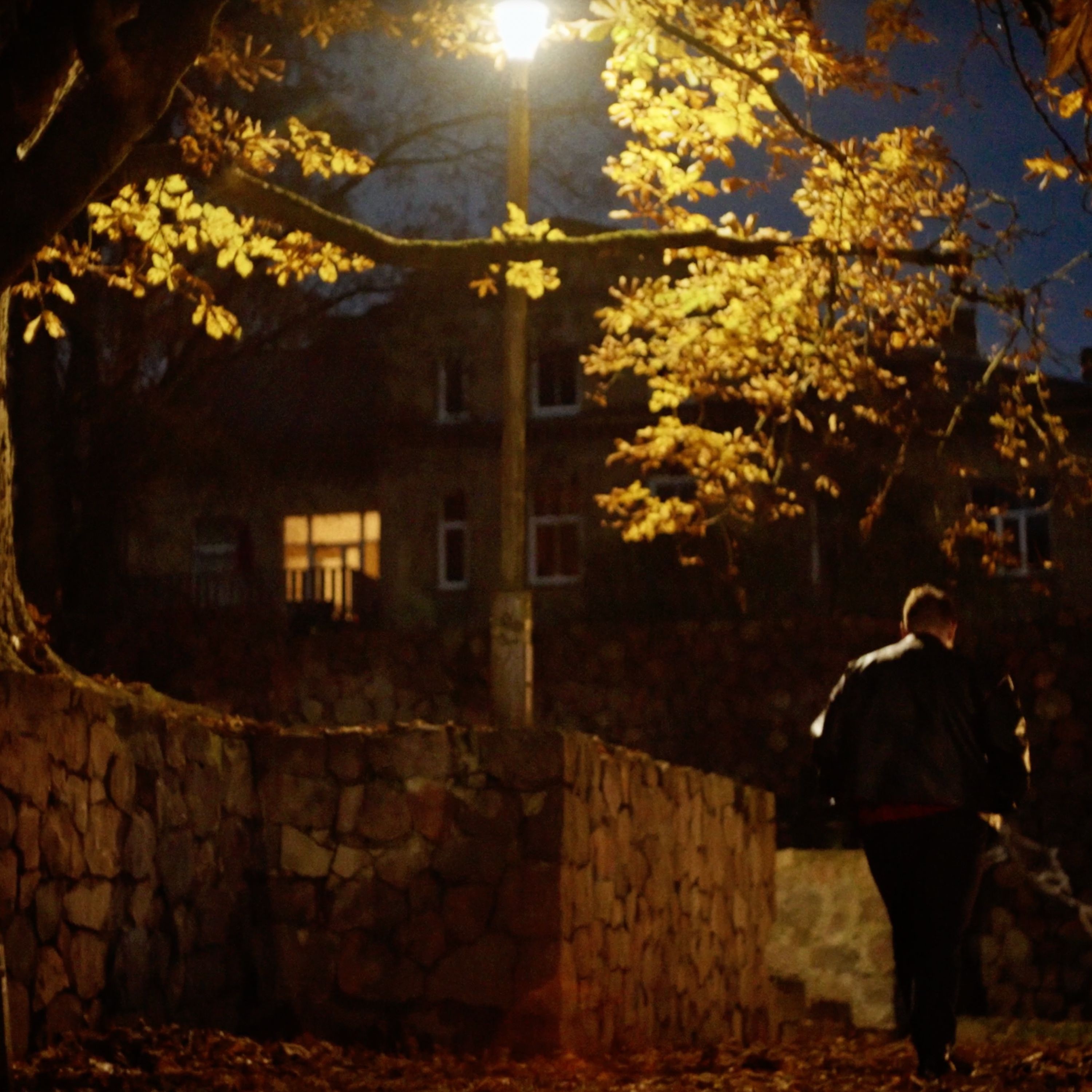 Nauji Metai - Single