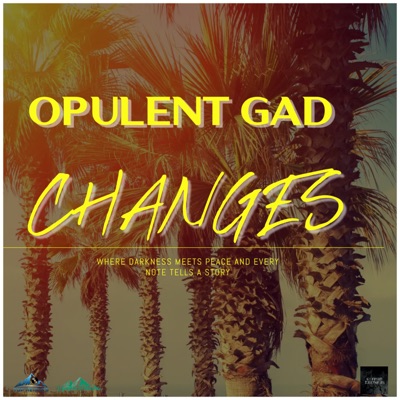 Changes (feat. Bizzle Warrior) - Single