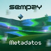 Metadatos - Single - Sempay