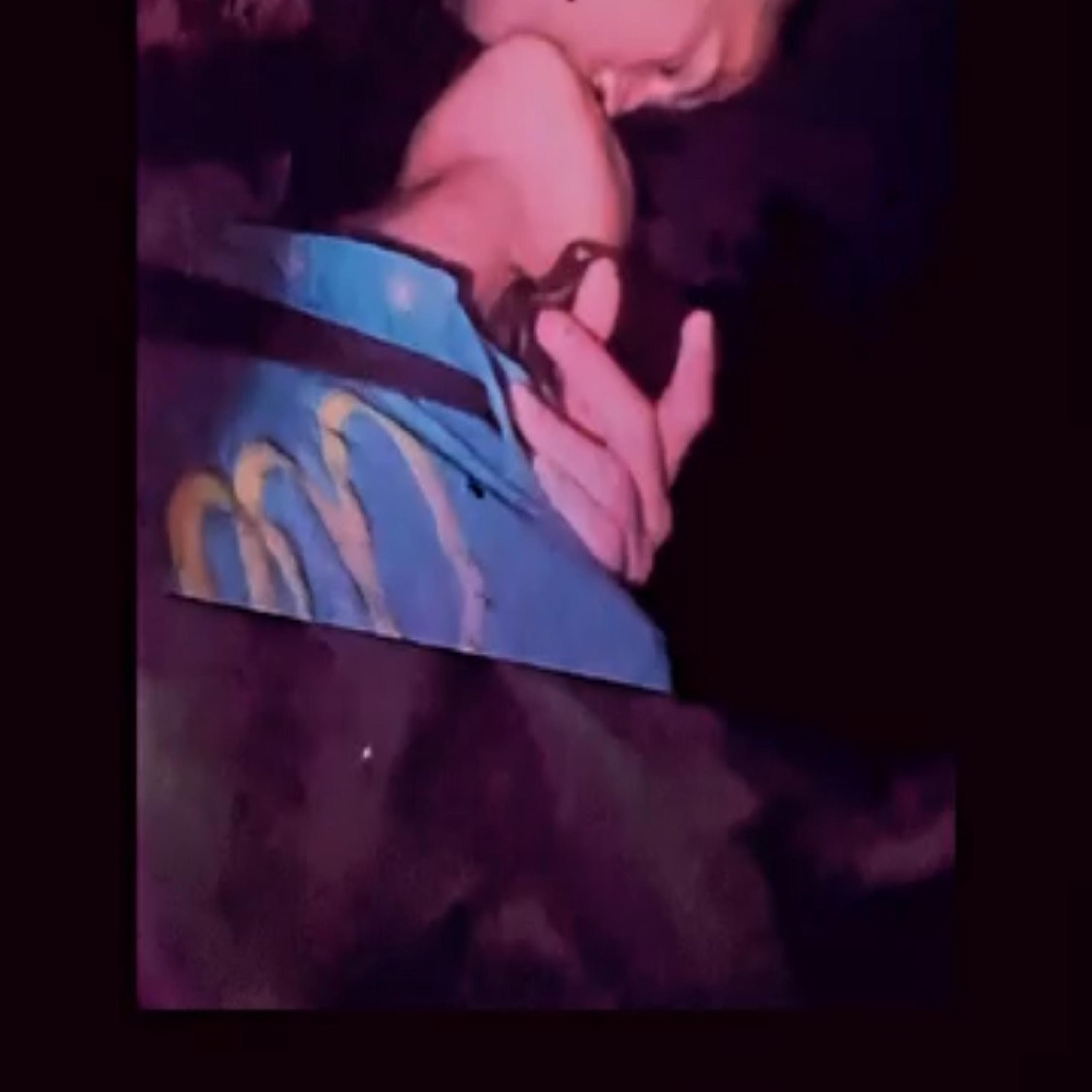 Siempre te voy amar ... - Single