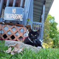 Coffee (2018) - Single - Sixx Morrow