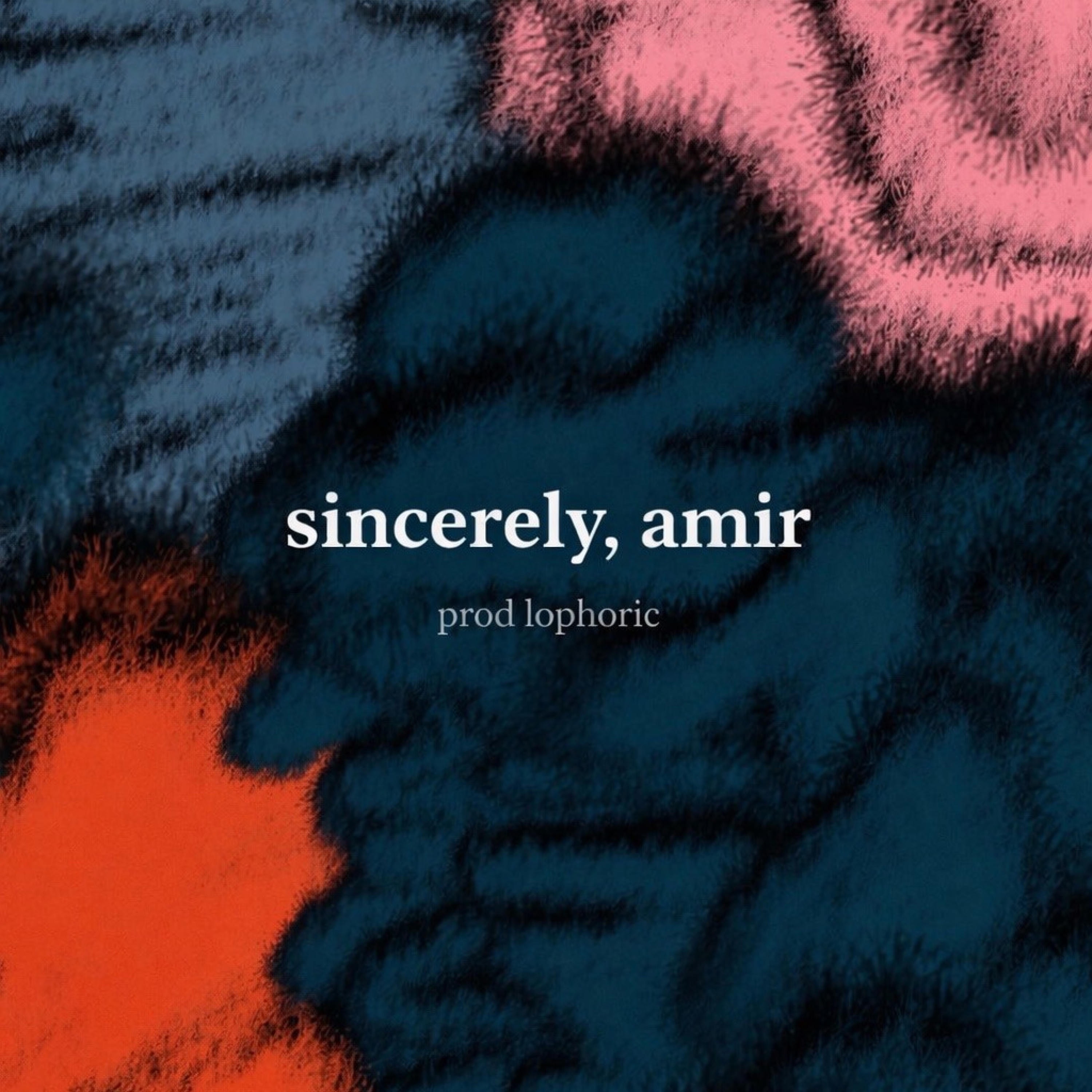 sincerely, amir - Single