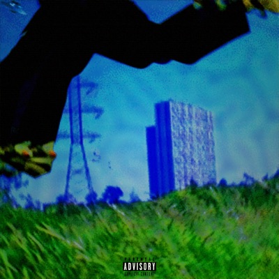 NOMAD STEPPA / WHAT DO YOU SEE? WE SEE... (feat. Fedi) - Single