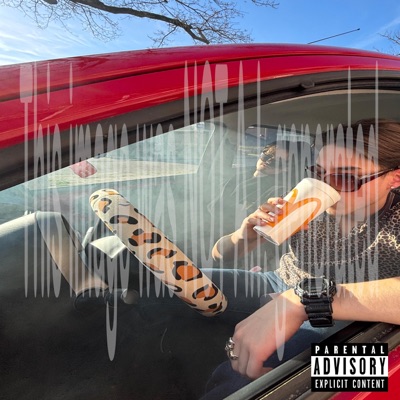 Rijbewijs Anthem - Single