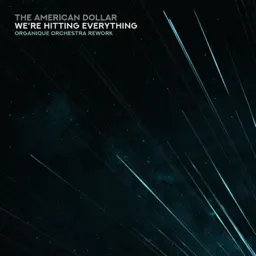We’re Hitting Everything (Organique Orchestra Rework) album cover