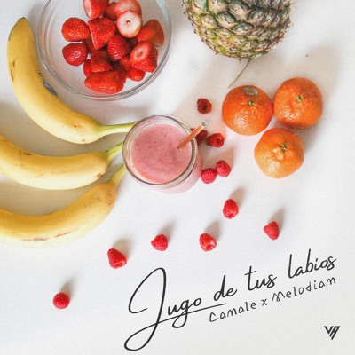 Jugo De Tus Labios (feat. Melodiam) - Single