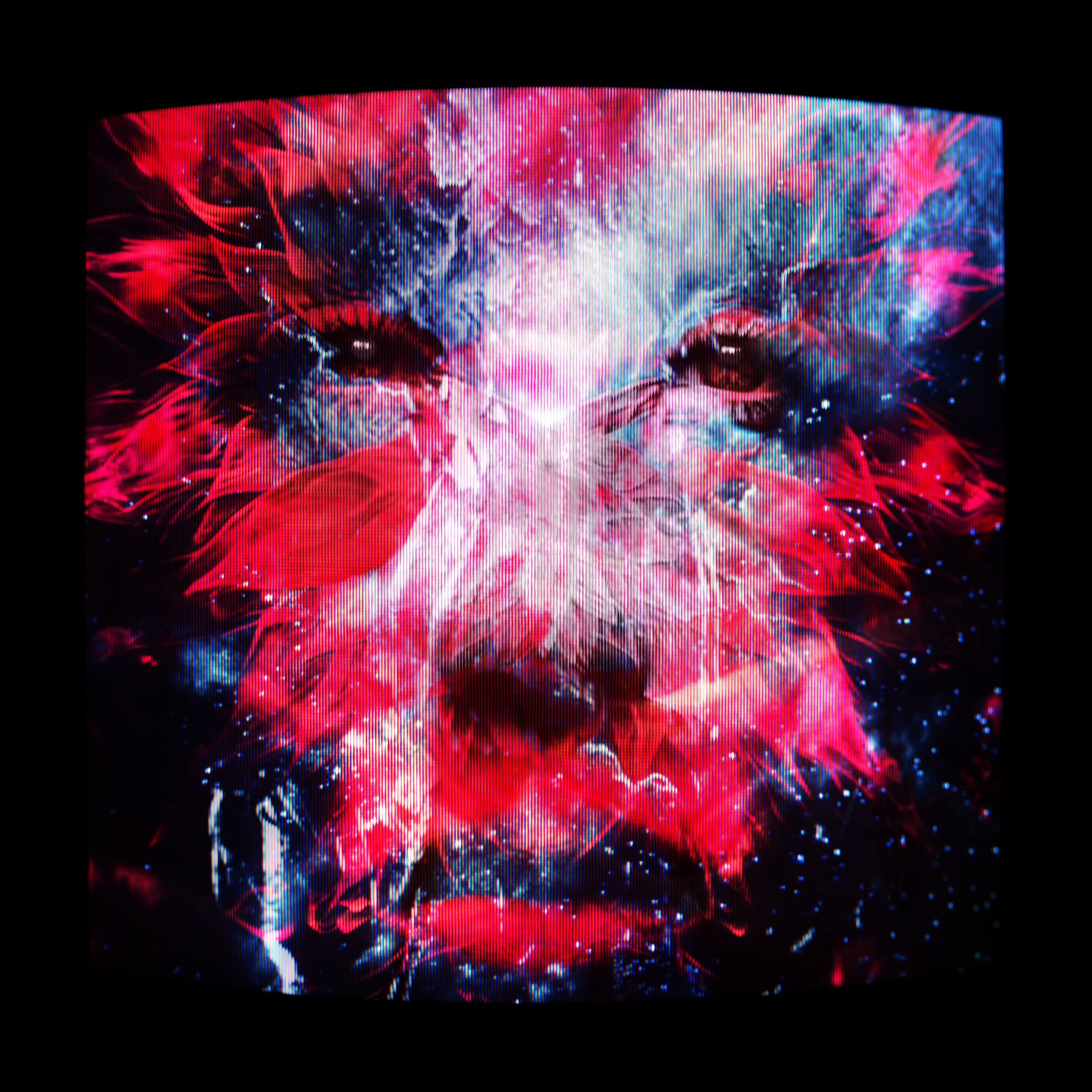 PNAU x MeduZa - Rollin