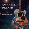 Awakened Dreams