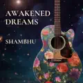 Awakened Dreams