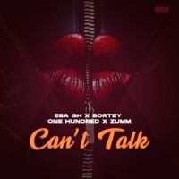 Can't Talk - Single - One Hundred, eba, Bortey & Zumm