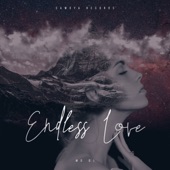 Endless Love artwork