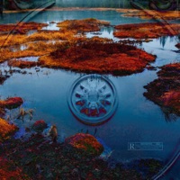 FANGO (feat. Nell) - Single - FLAKKO LA RUINA