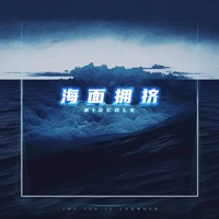 海面拥挤 - Single - Big Cole