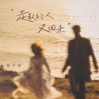 走散的人又回来 - Single - 张宇佳