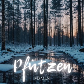 PFÜTZEN MXMLN