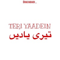 Teri yaadein - Single - Ghaziabadi