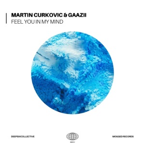 Feel You In My Mind - Single