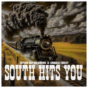 South Hits You - Single