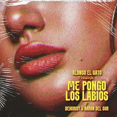 Me Pongo Los Labios - Single