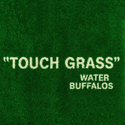 Touch Grass - Single