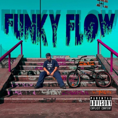 Funky flow - Single