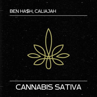 Cannabis Sativa - Single