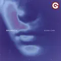 Magnetic