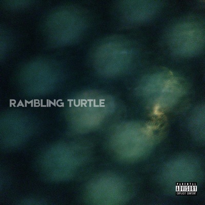 Rambling Turtle - Single