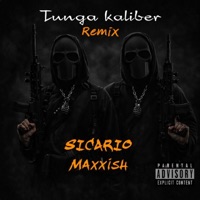 Tunga Kaliber - Remix (feat. Maxxish) - Single - Sicario