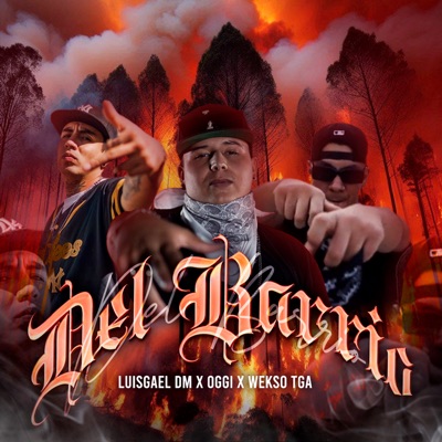 Del Barrio - Single
