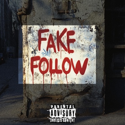 FAKE FOLLOW - Single