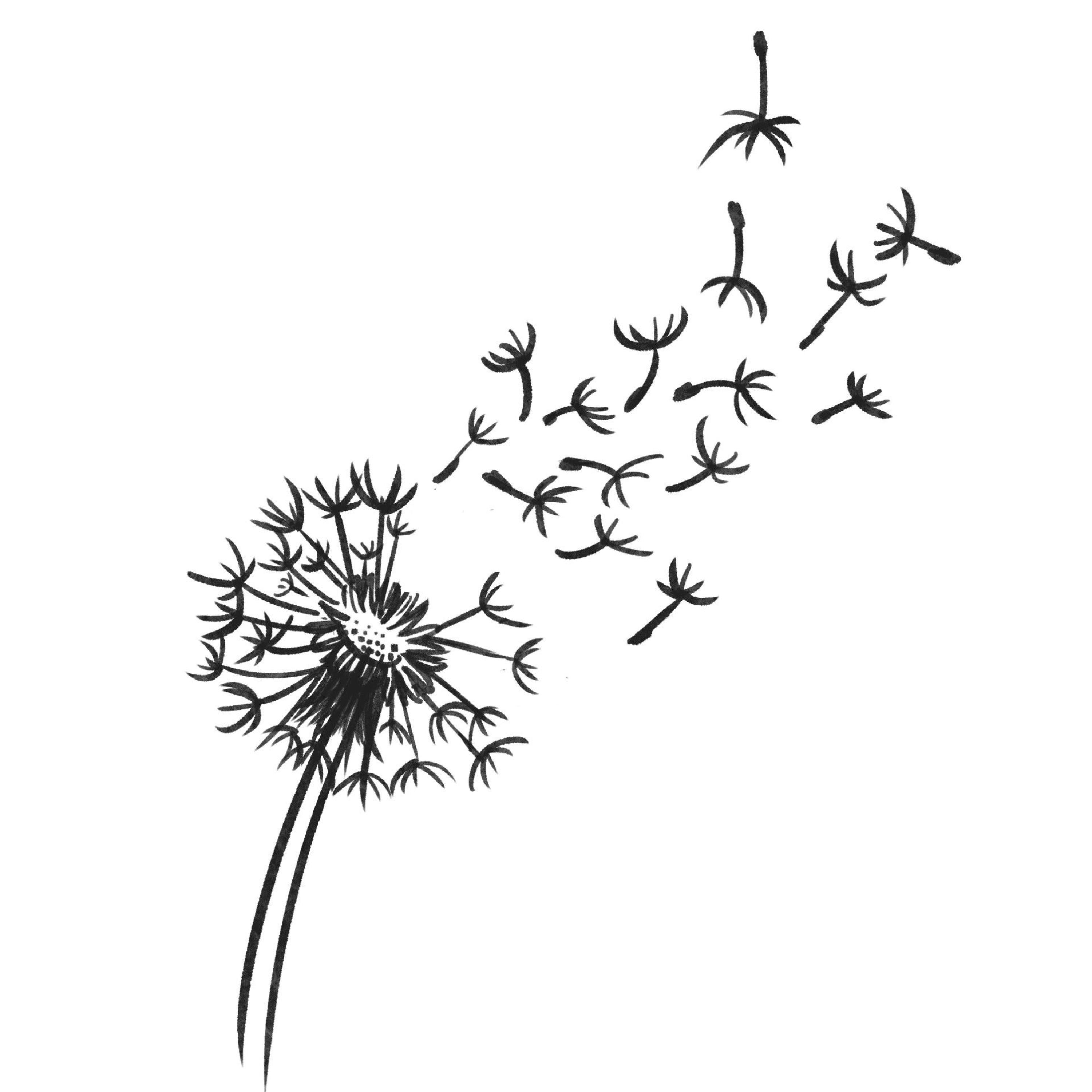 Down by the Meadows - Single