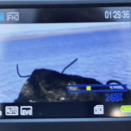 fresno siah henderson