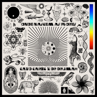 Onde Nascem As Flores