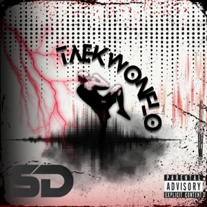 TaekwonFlo