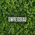 Gwreiddiau