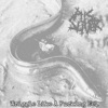 Wriggle Like a F*****g Eel (Whitehouse) - Single