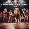 TIGUERES Y LEONES LIVE - Single