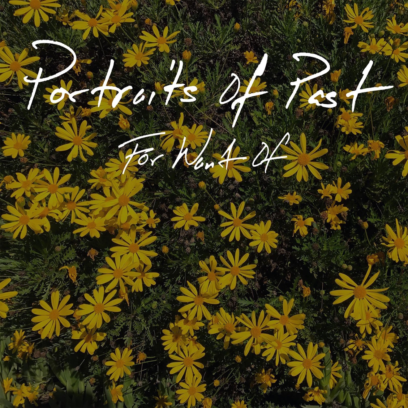 Portraits of Past – For Want Of – Single (2025) [iTunes Match M4A]