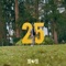 25 - SYL noiZ lyrics