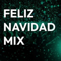 Feliz Navidad Mix (feat. Dj Fris & Dj Caleta) - Single - Dj Alex Del Callao